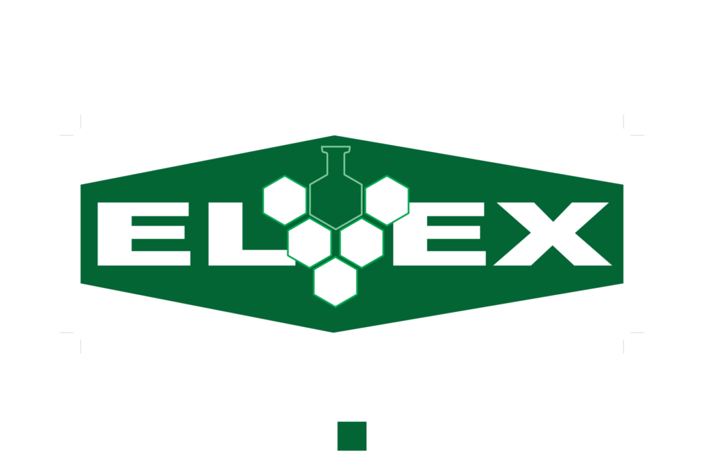 Elvex Desarrollo WordPress Optimizado